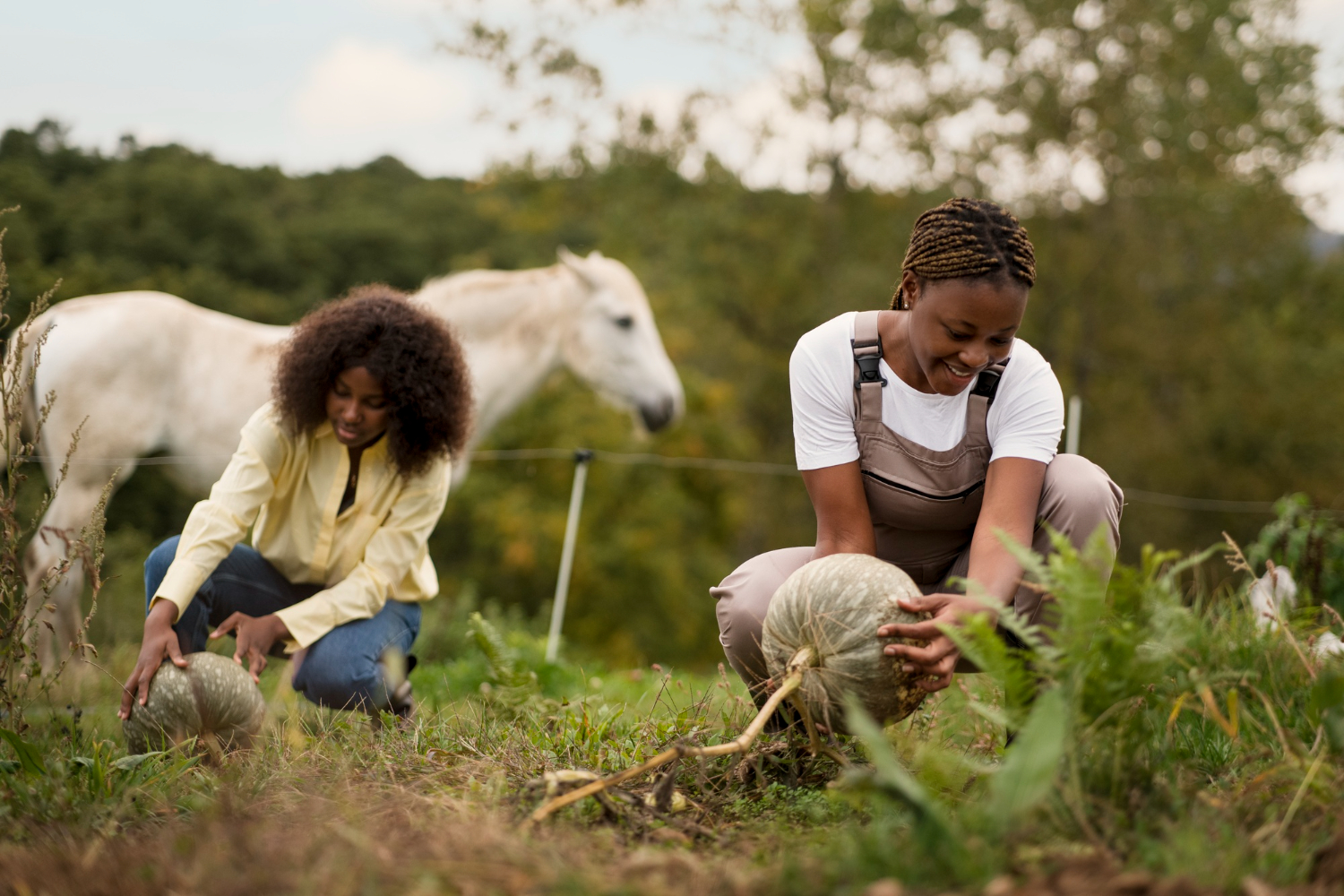 Innovative Ranching Solutions: How Sheckles Investment Group Supports Sustainable Farming