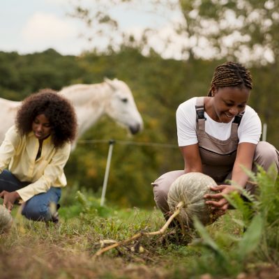 Innovative Ranching Solutions: How Sheckles Investment Group Supports Sustainable Farming